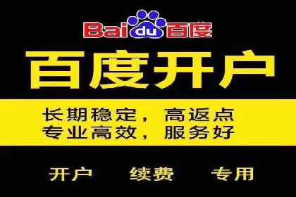 SEM广告创意与执行：成功案例分享